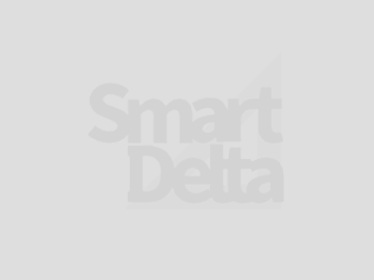 Smart Deltaイメージ画像
